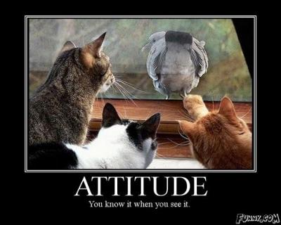Attitude: You know it when you see it.