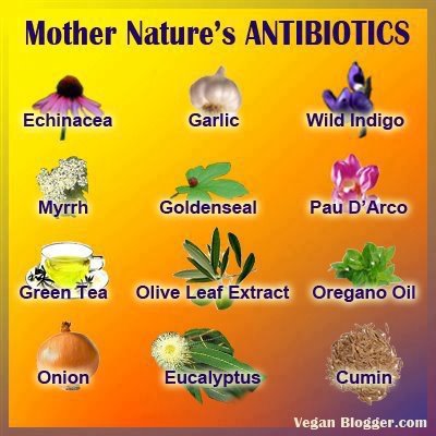 Alternative Medicine And Herbal