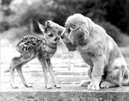 KINDNESS