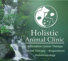 Holistic Veterinarian