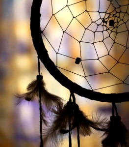 WEB OF LIFE