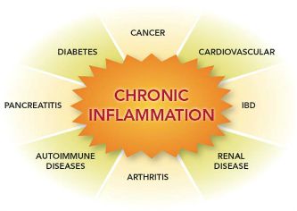 ENZYME THERAPY