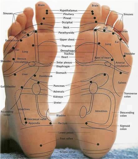 REFLEXOLOGY