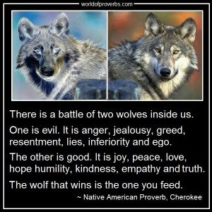 two wolves